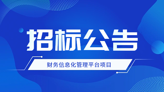 2023年合肥東勝新能源科技（集團(tuán)）有限公司財(cái)務(wù)信息化管理平臺(tái)項(xiàng)目招標(biāo)公告