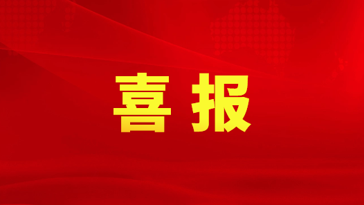 喜訊！熱烈祝賀我司被認(rèn)定為“肥西縣和諧勞動(dòng)關(guān)系示范企業(yè)”